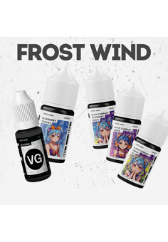 Ароматизатор Frost Wind 14мл, изображение 1